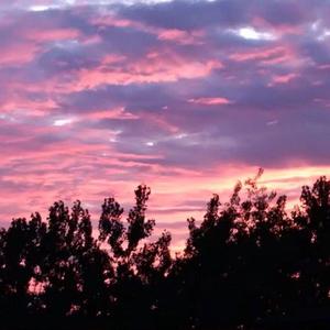 成人免费毛片❌❌❌嘿嘿连载视频
