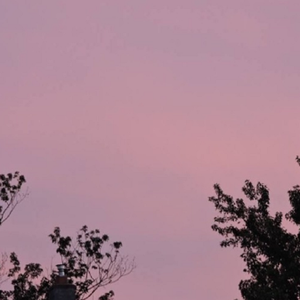 成人免费毛片❌❌❌嘿嘿连载视频
