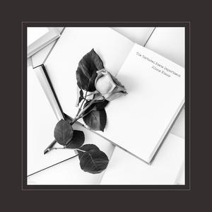 成人免费毛片❌❌❌嘿嘿连载视频
